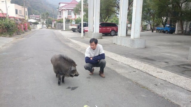 清流部落