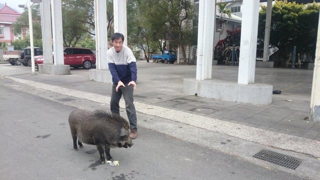 清流部落