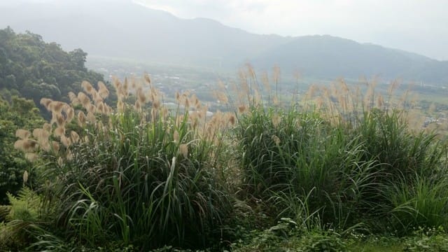 香格里拉休閒農場 - 第14張圖 香格里拉休閒農場