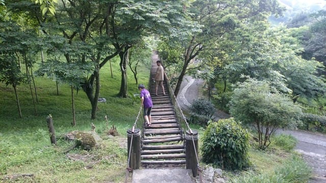 香格里拉休閒農場 - 第12張圖 香格里拉休閒農場