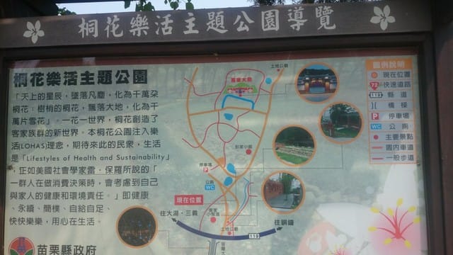苗栗賞桐之旅 - 第8張圖 苗栗賞桐之旅