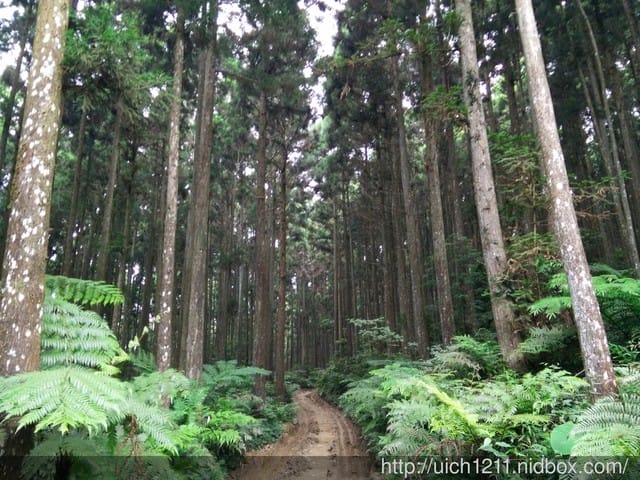 山上人家