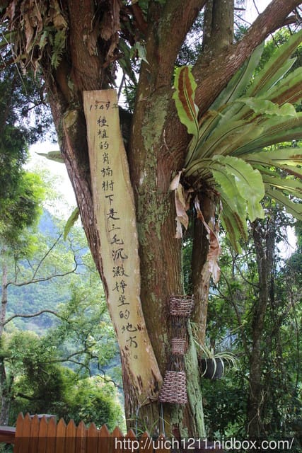 清泉部落