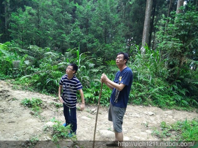 山上人家