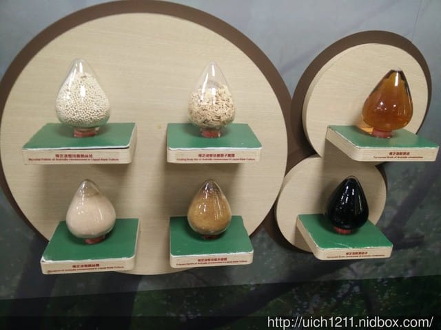 麗豐微酵館