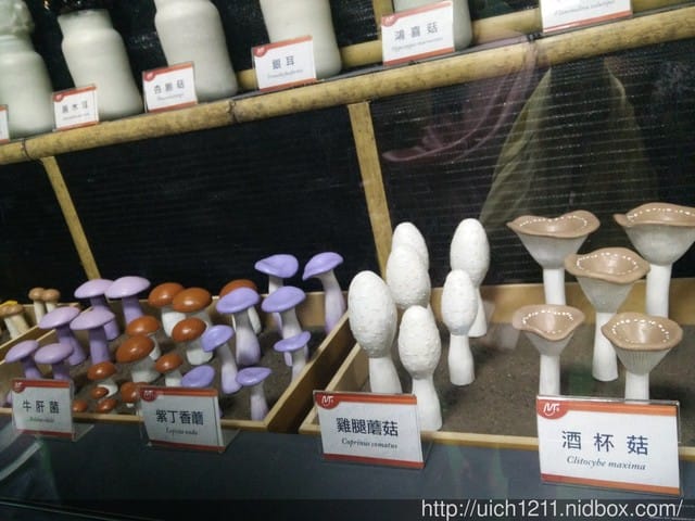 麗豐微酵館