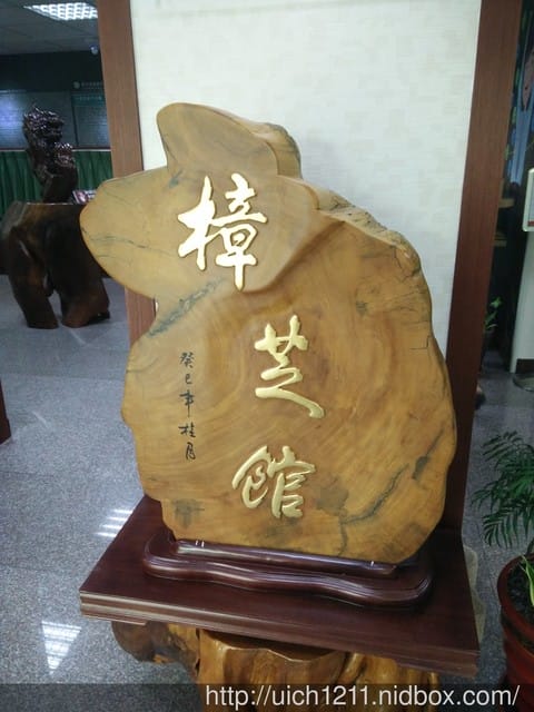 麗豐微酵館