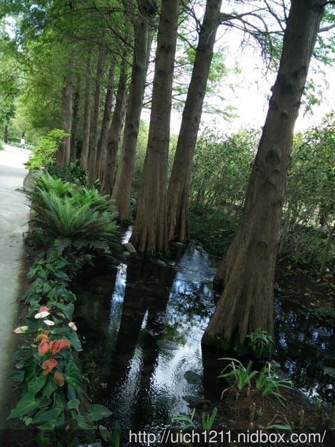 菁芳園休閒農場