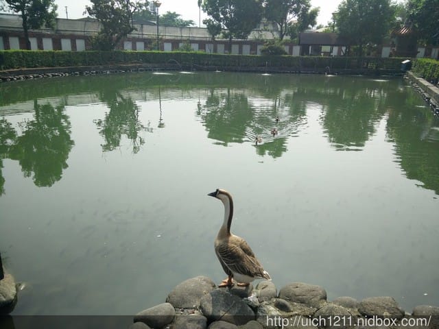 土牛客家文化館 - 第8張圖 土牛客家文化館