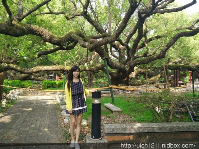 土牛客家文化館 - 第4張圖 土牛客家文化館