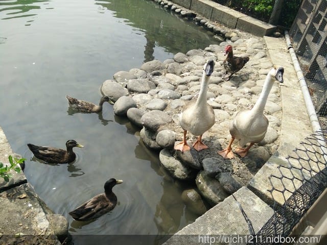 土牛客家文化館 - 第9張圖 土牛客家文化館