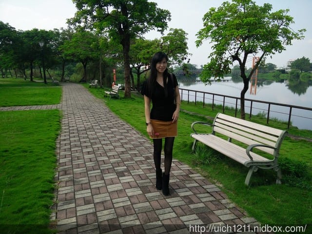 彩繪稻田