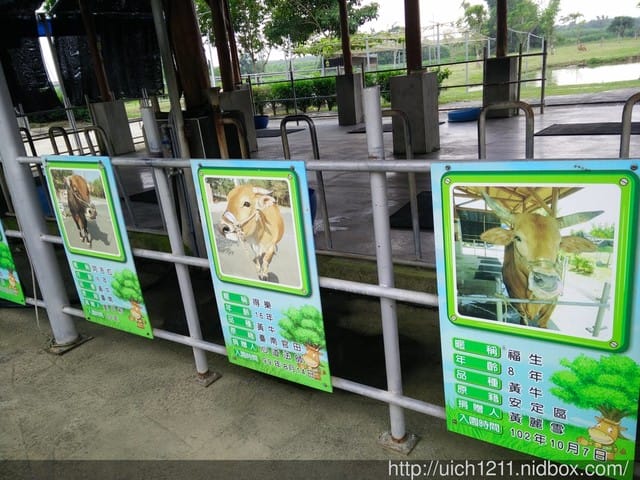 德元埤荷蘭村
