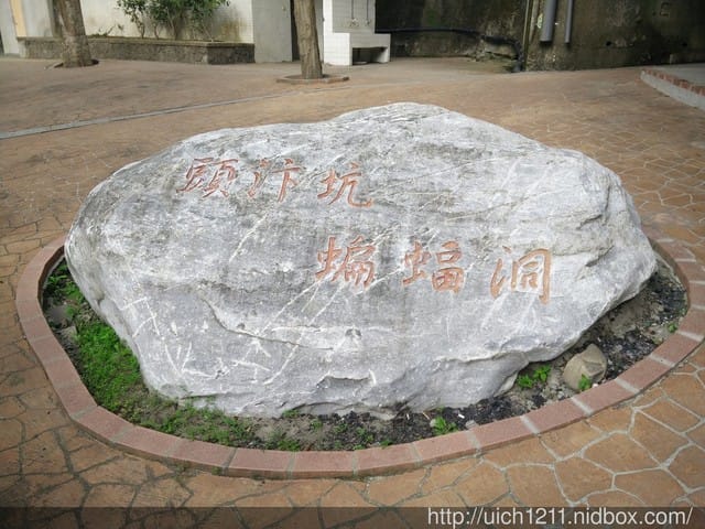 太平頭汴坑蝙蝠洞 - 第9張圖 太平頭汴坑蝙蝠洞