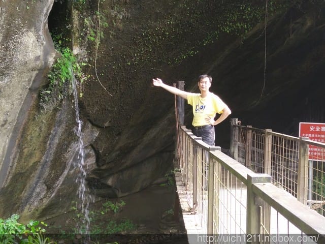 太平頭汴坑蝙蝠洞 - 第16張圖 太平頭汴坑蝙蝠洞