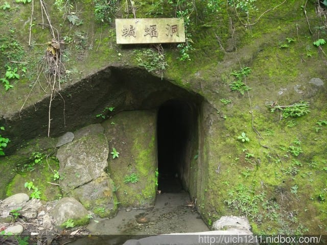 太平頭汴坑蝙蝠洞 - 第15張圖 太平頭汴坑蝙蝠洞