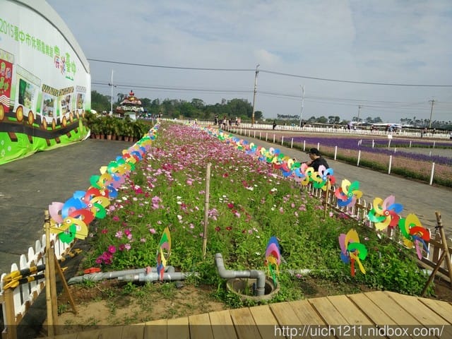 新社花海與紫願風車