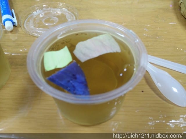 白河蓮鄉之旅
