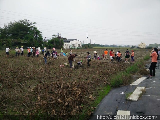 白河蓮鄉之旅