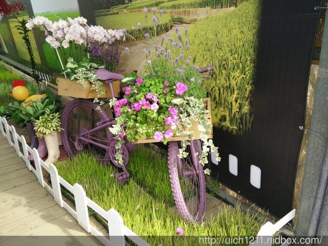 新社花海與紫願風車