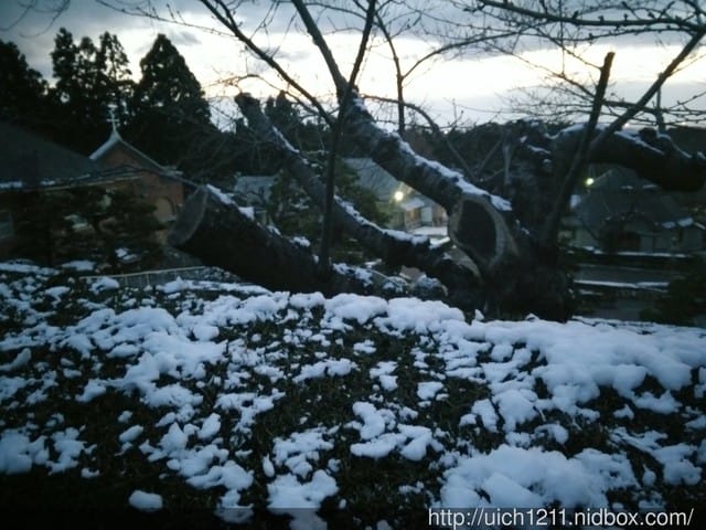 北海道之旅1