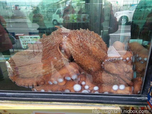 北海道之旅2