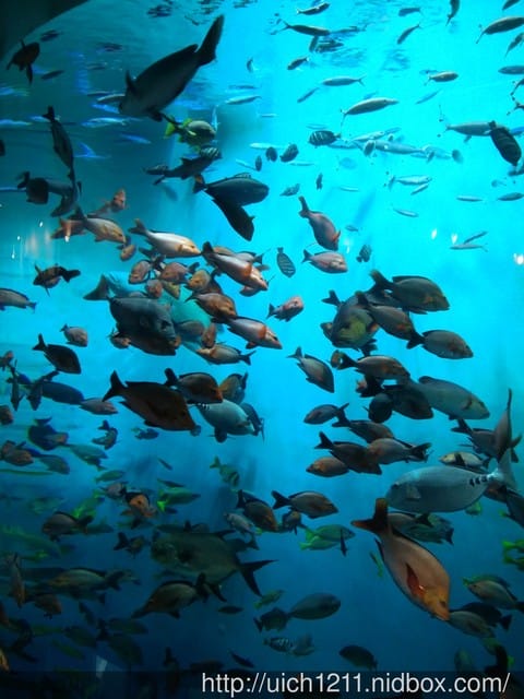 北海道之旅5