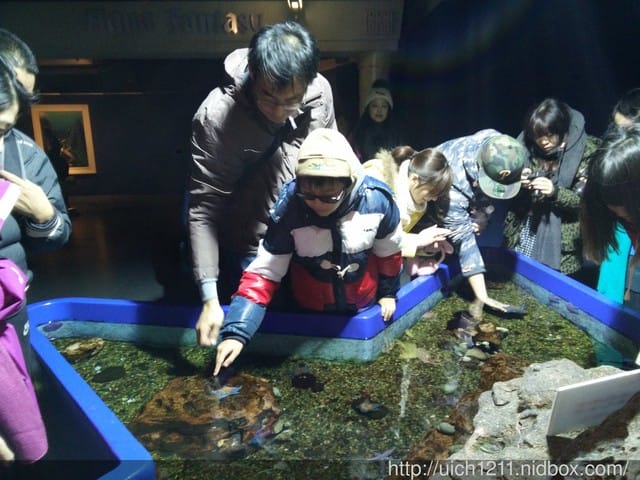 北海道之旅5