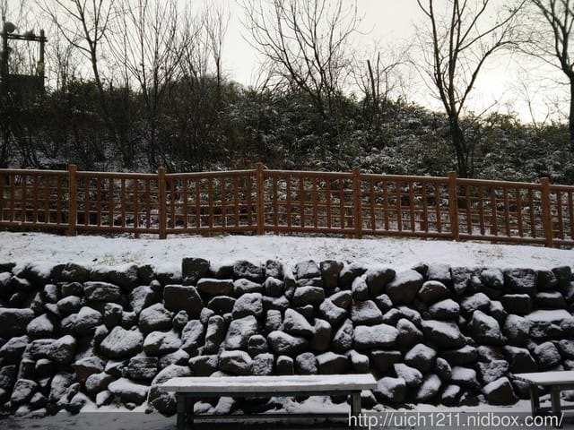 北海道之旅5