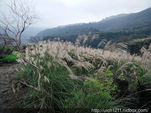八煙部落 - 第16張圖 八煙部落