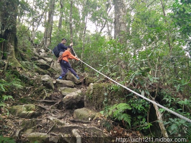 梢來山