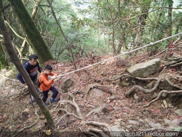 梢來山