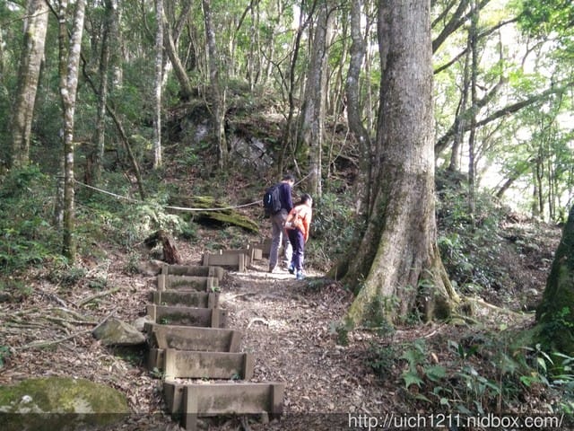 梢來山