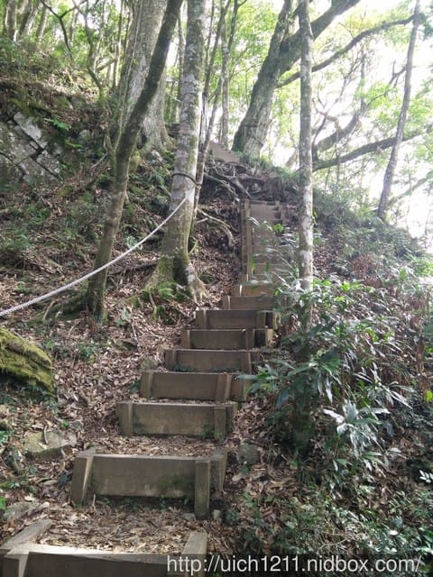 梢來山