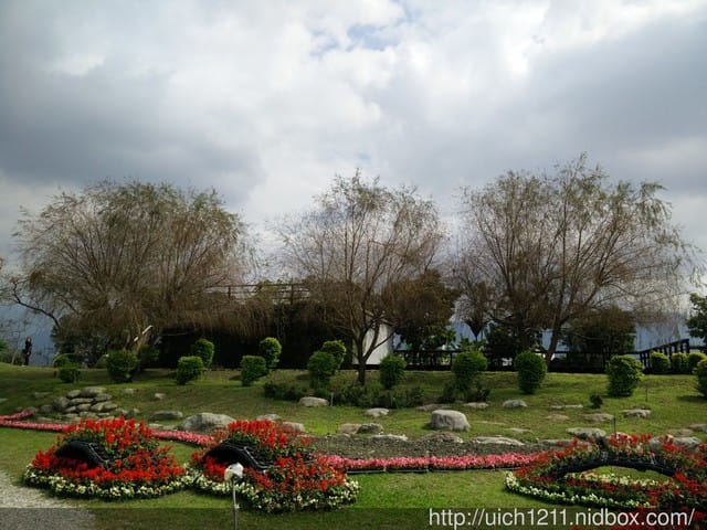 105年池上花海