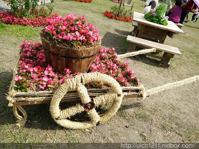 105年池上花海