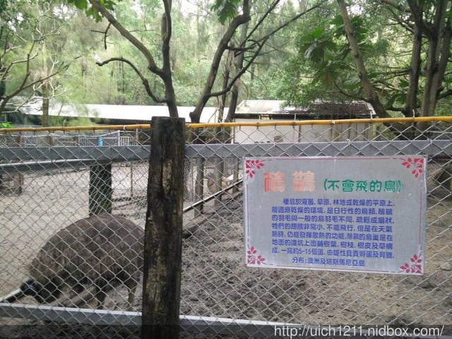 台灣水牛城