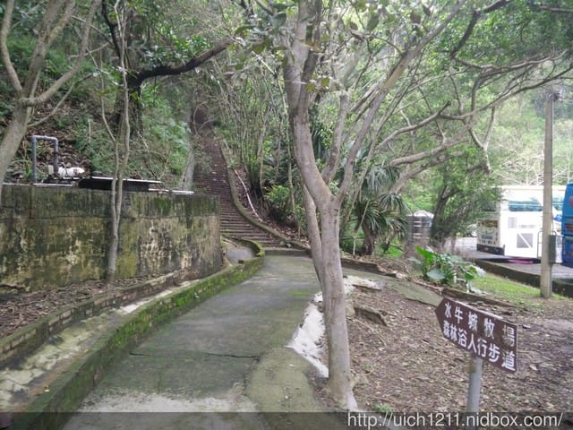 台灣水牛城