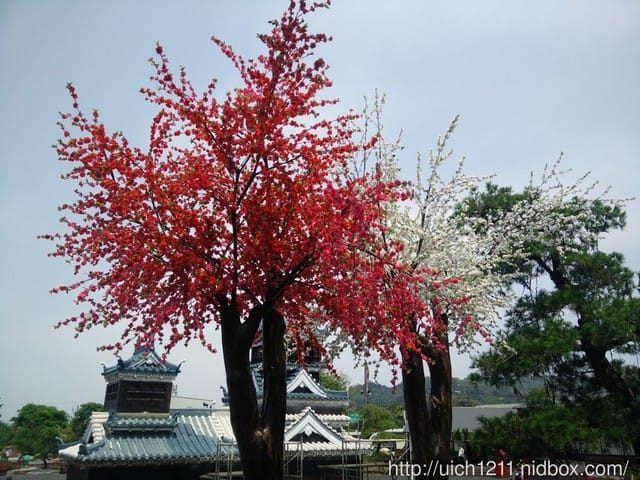 桃太郎村