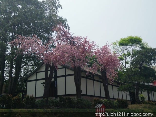桃太郎村