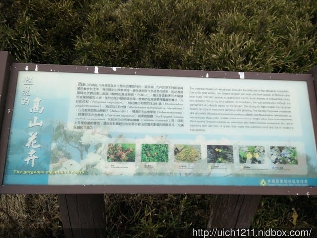 合歡主峰