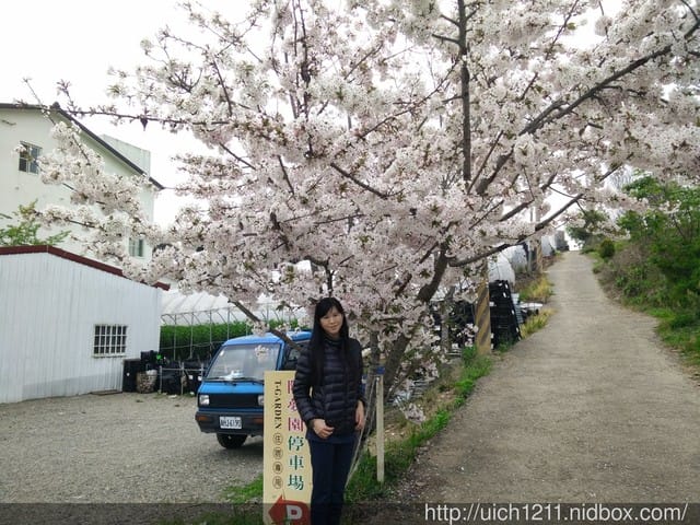 合歡主峰