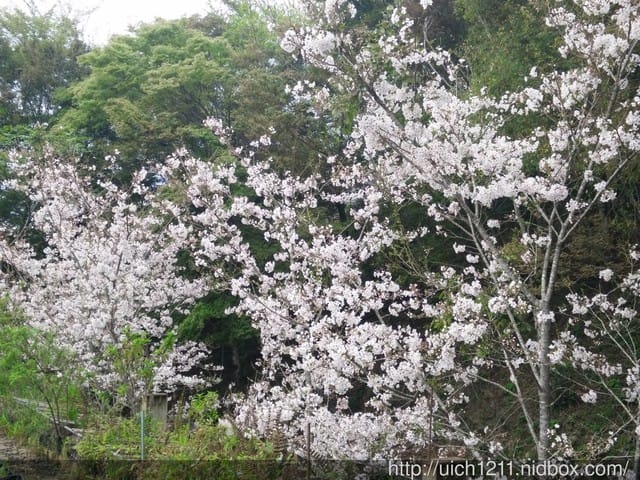合歡主峰