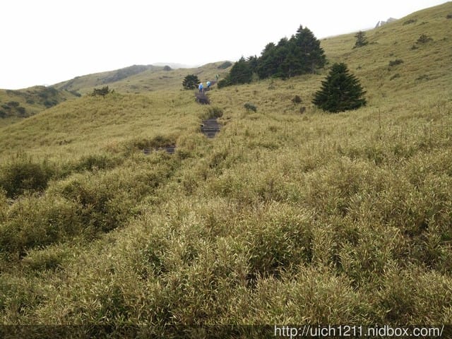 合歡東峰