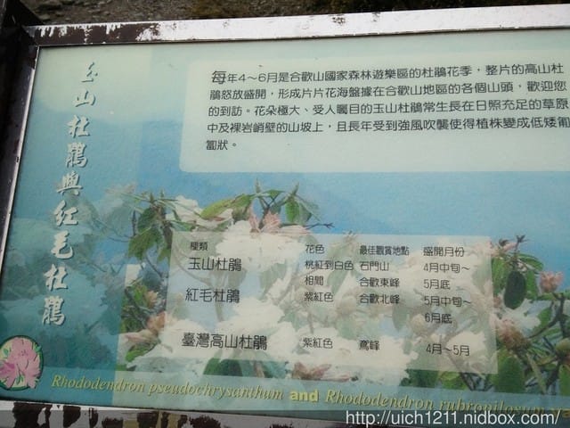 合歡東峰