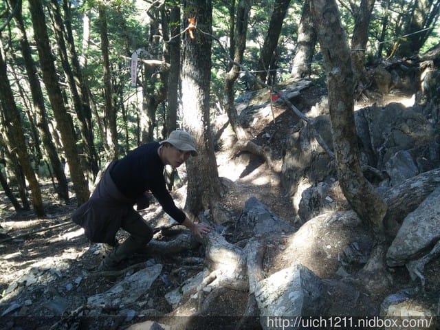 羊頭山 - 第16張圖 羊頭山