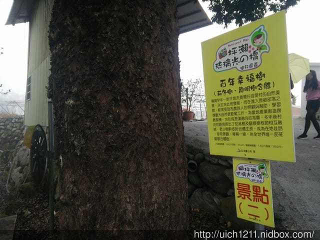 坪瀨.琉璃光之橋 - 第4張圖 坪瀨.琉璃光之橋