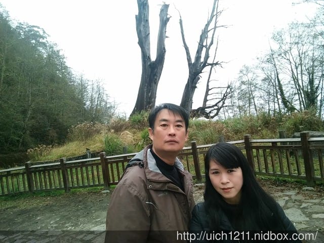 新中橫景點趣 - 第5張圖 新中橫景點趣