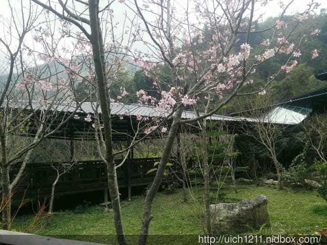 苗栗七分醉景觀餐廳
