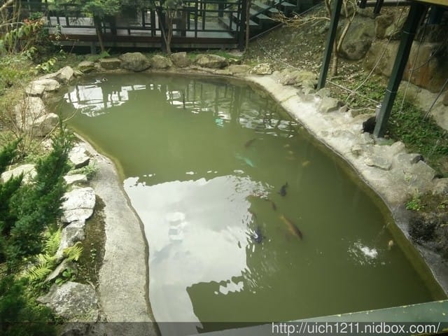 苗栗七分醉景觀餐廳
